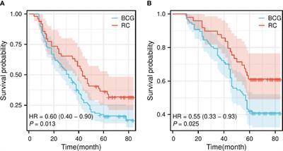 Comparative efficacy of Bacillus Calmette–Guérin instillation and radical cystectomy treatments for high-risk non-muscle-invasive urothelial cancer classified as high-grade T1 in initial and repeat transurethral resection of bladder tumor